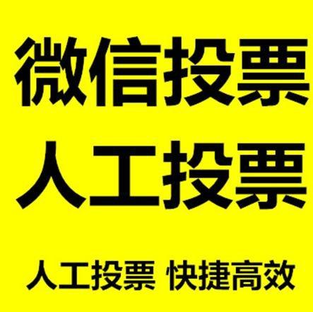 庆阳市投票活动拉票能被查出来吗？如何操作能不被发现？